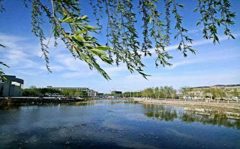 帥科湖畔