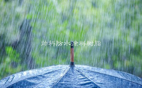 帥科防水涂料生產用樹脂