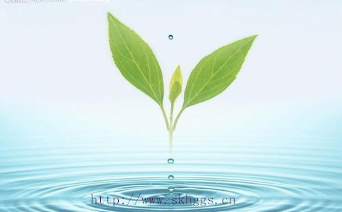 帥科水性工業漆用樹脂